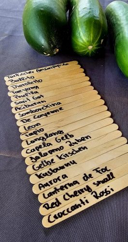 Beschriftungsstäbchen für Chili Pflanzen